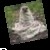 Amit Singh profile picture